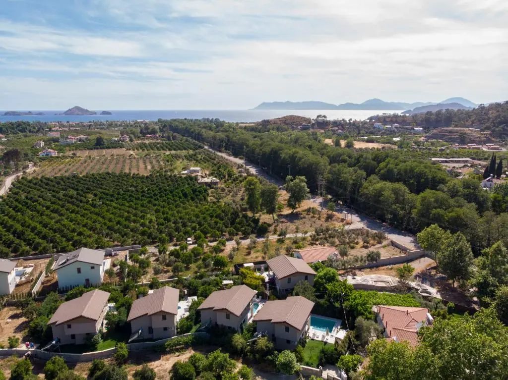 Real estate in Yaniklar